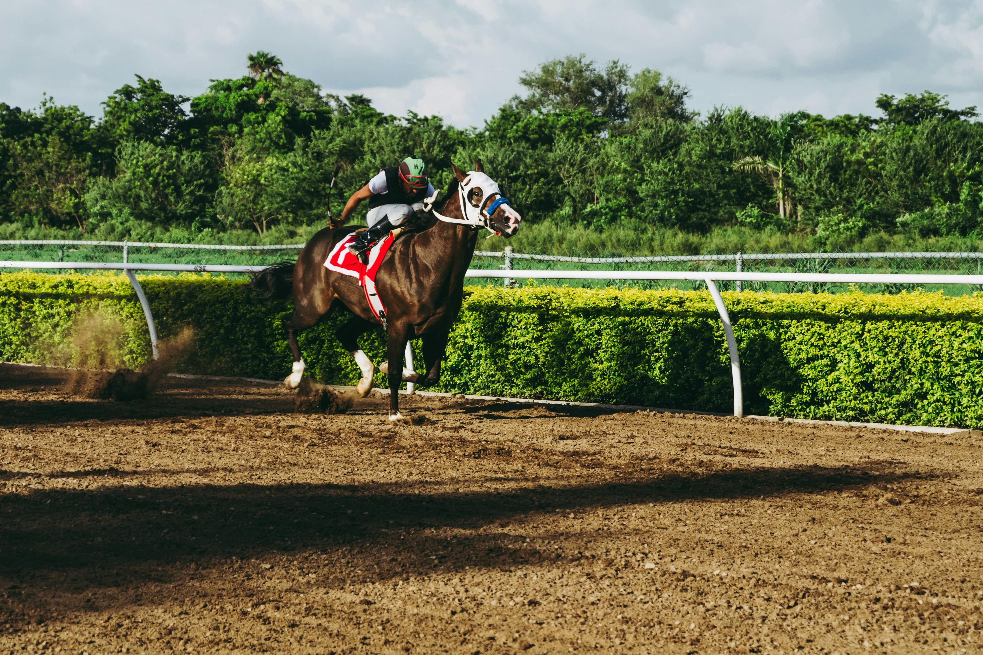 A Day at the Races: Chester’s Horse Racing Tradition & Where to Eat Before or After